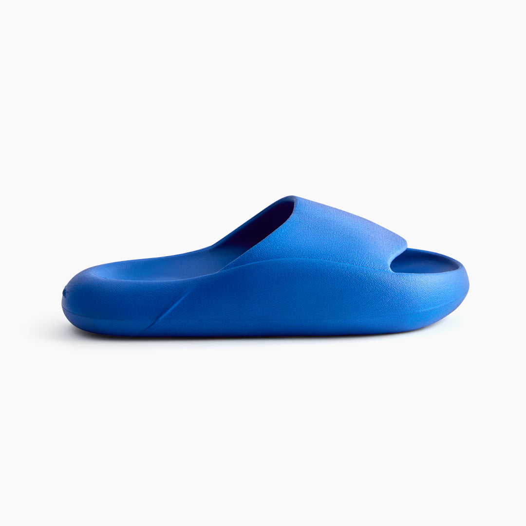 Jamun Blue Slides