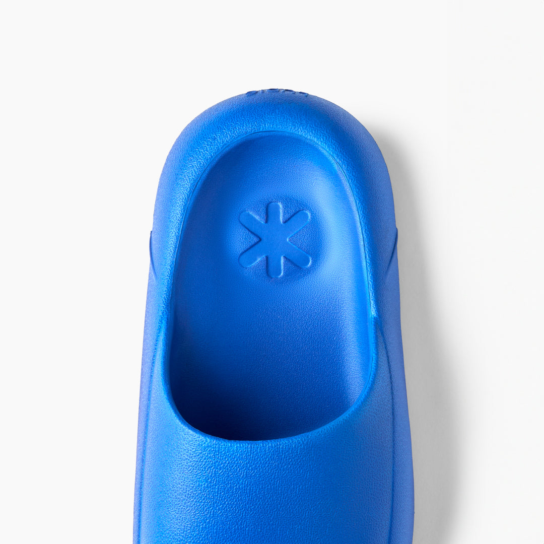 Jamun Blue Slides