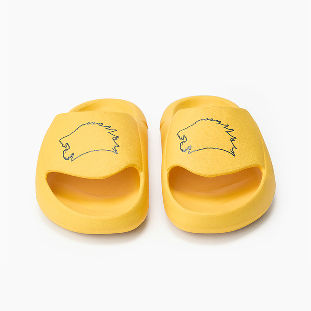 Banana Chips Slides