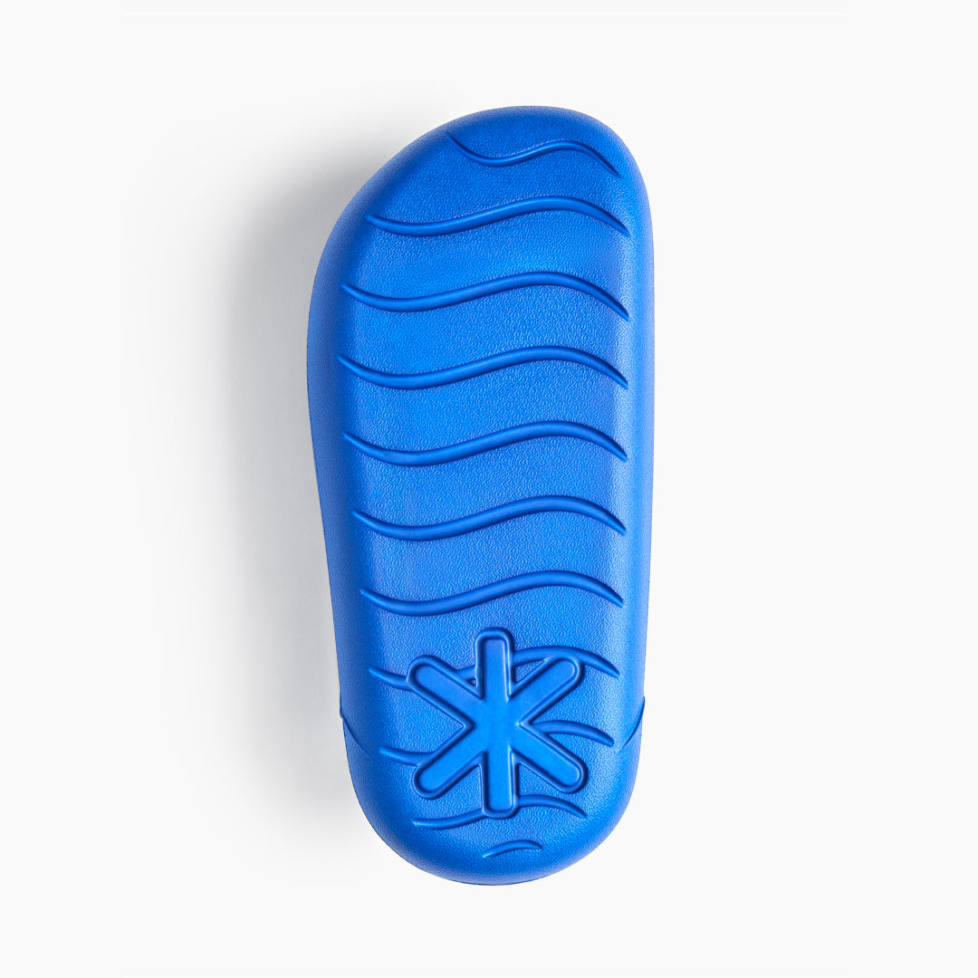 Jamun Blue Slides
