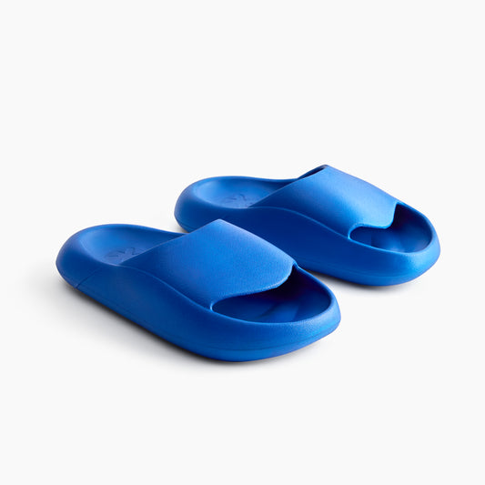 Jamun Blue Slides